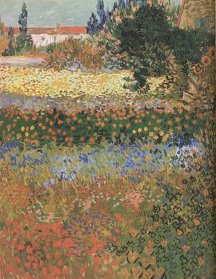Vincent Van Gogh Flowering Garden (nn04) France oil painting art